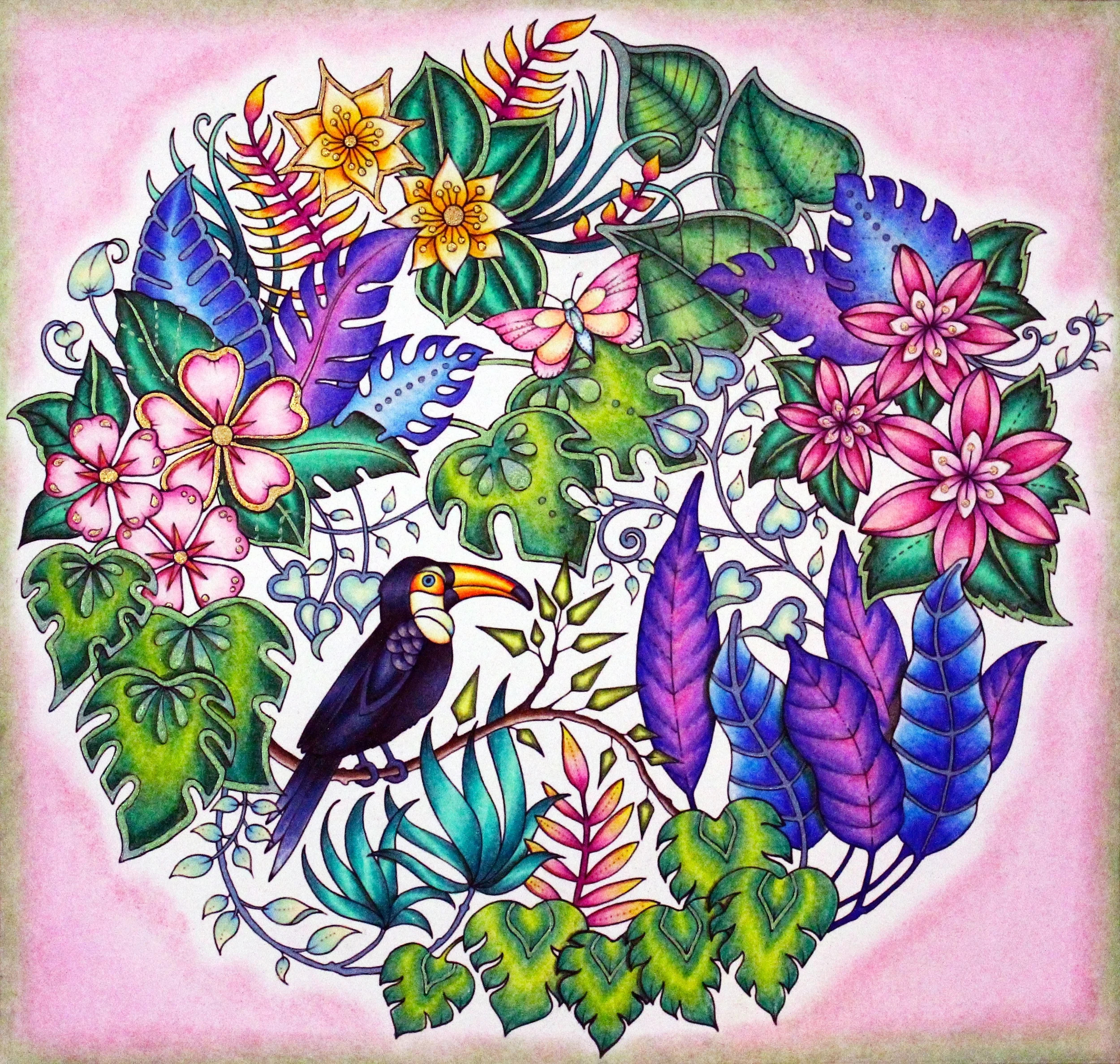 Johanna Basford Magical Jungle
