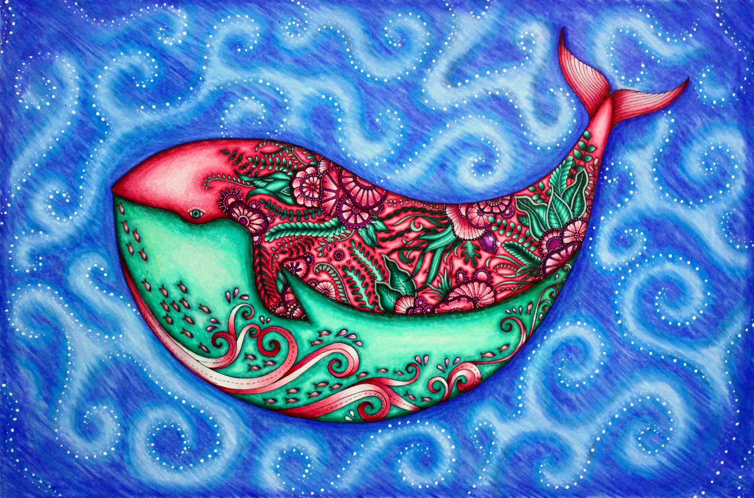 Whale colored by Emily Laughlin.jpg