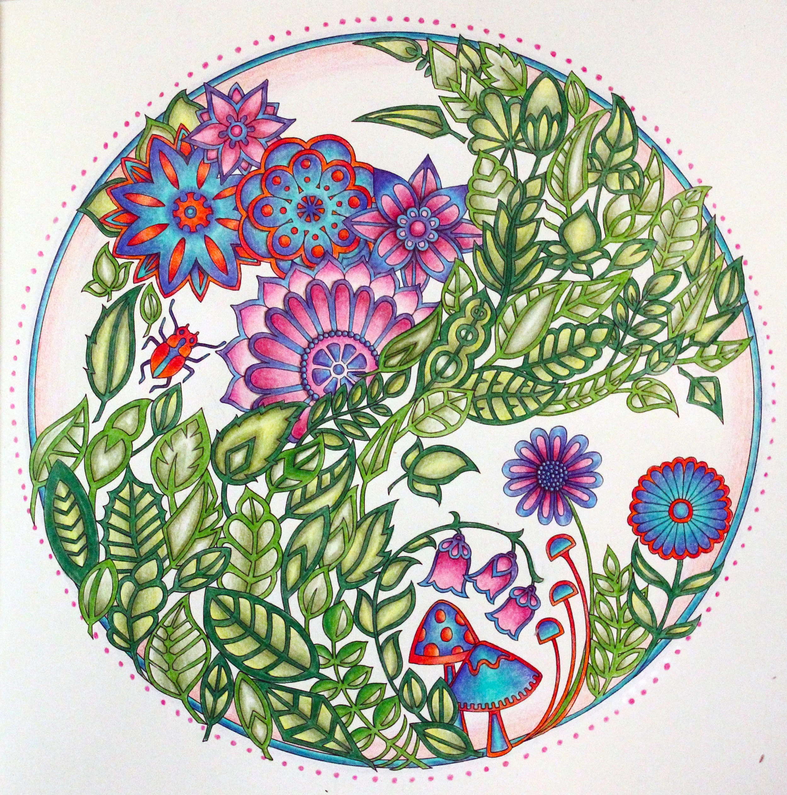 Secret Garden Coloring Book Finished Pages