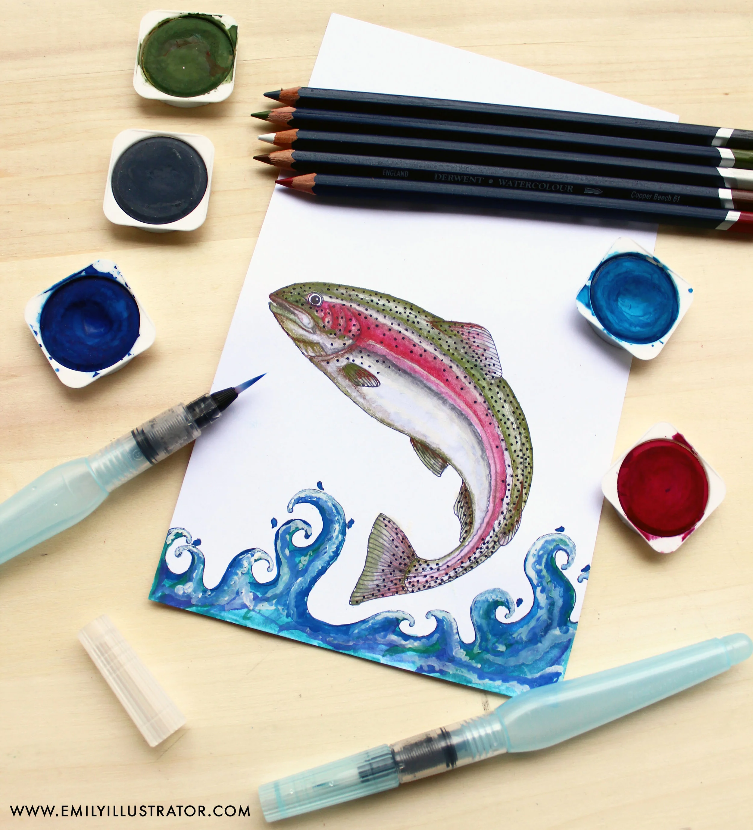 rainbow trout - web.jpg