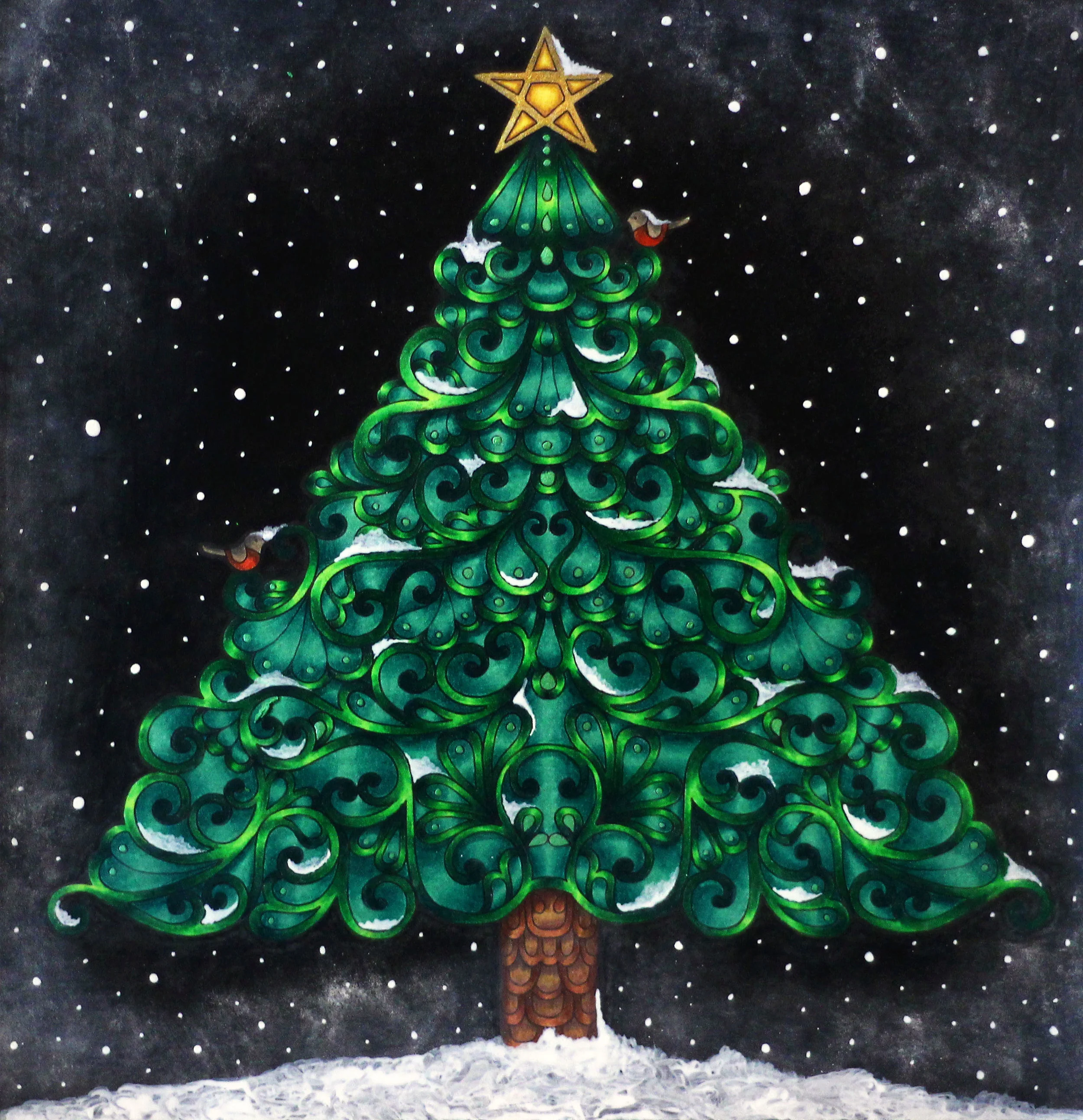 tree3.jpg