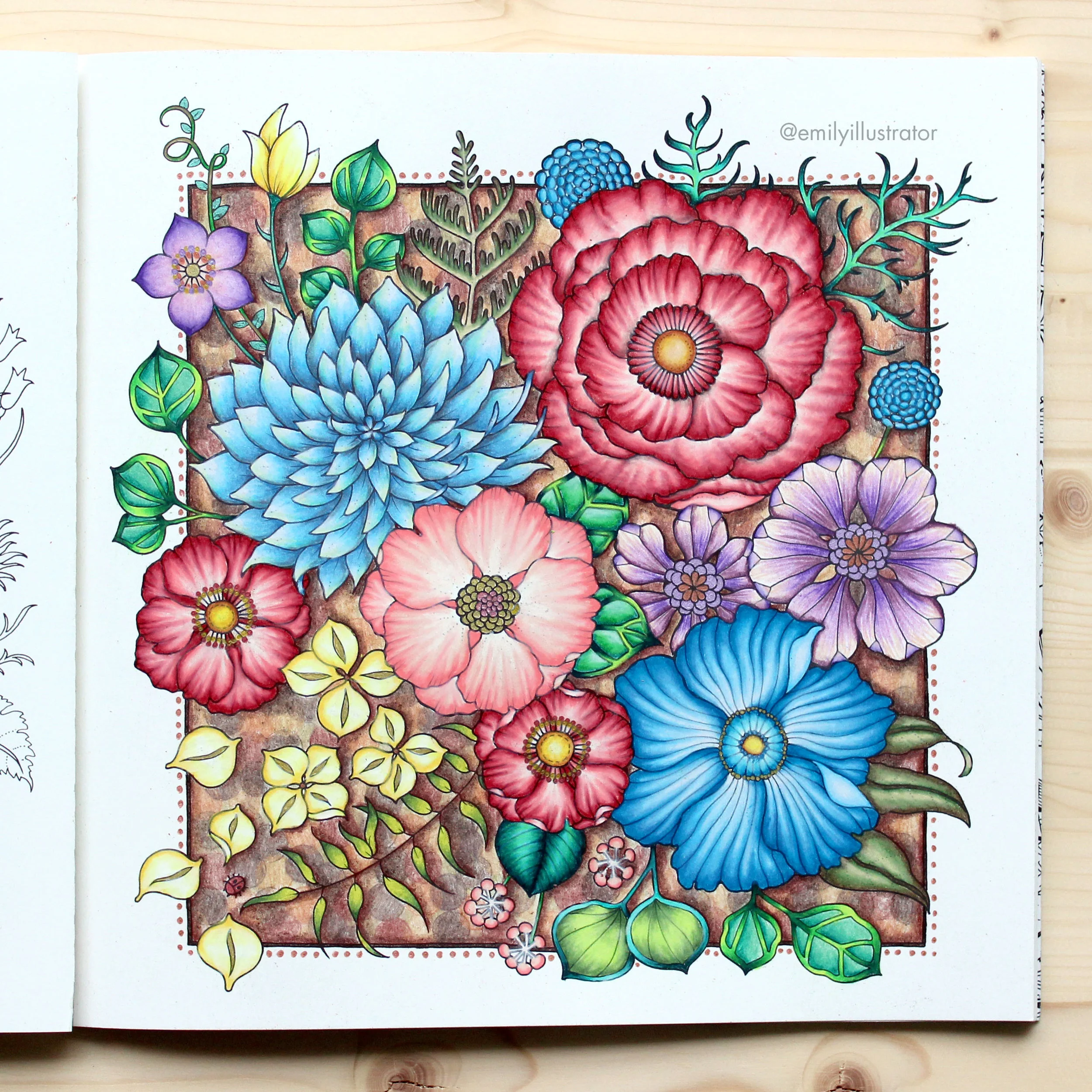 Corki Combo Johanna Basford World Of Flowers Gallery Nesmireth61 21