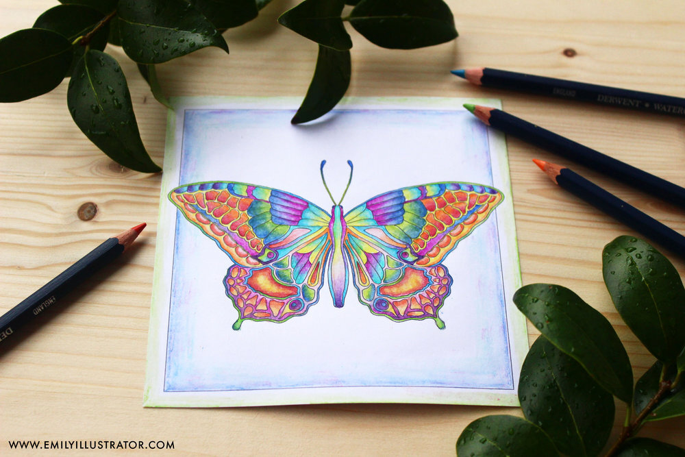 Butterfly+-+web.jpg