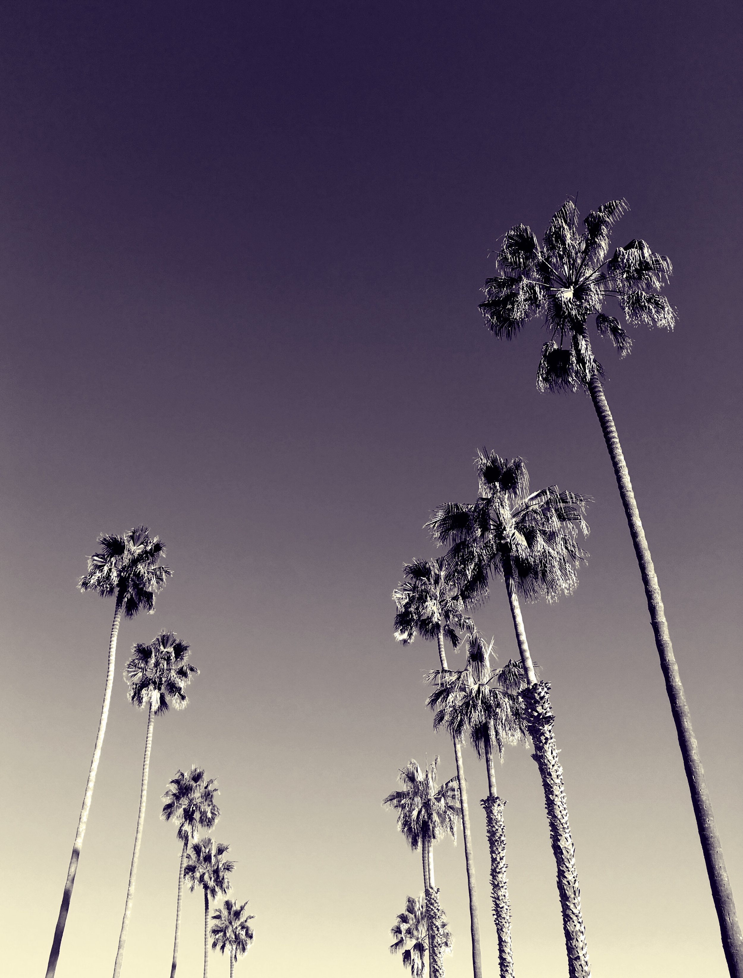 From where I run in La Jolla