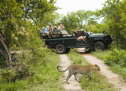 Kruger_leopard_photo.jpg