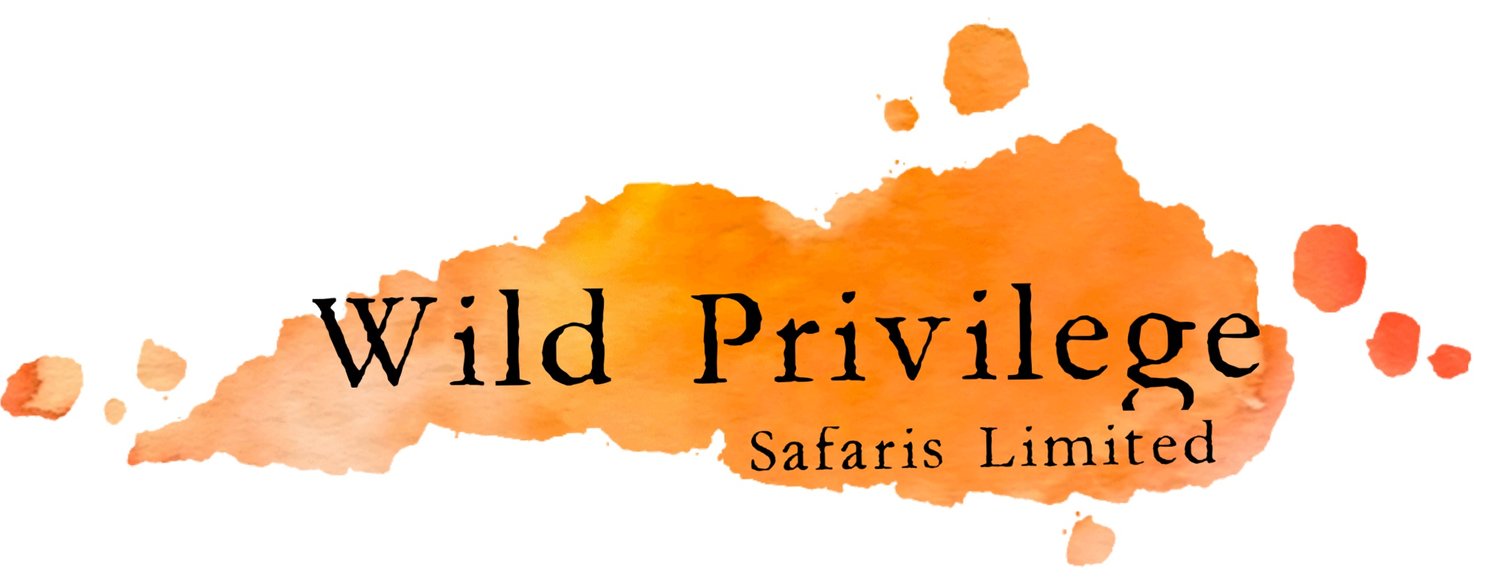 Wild Privilege Safaris