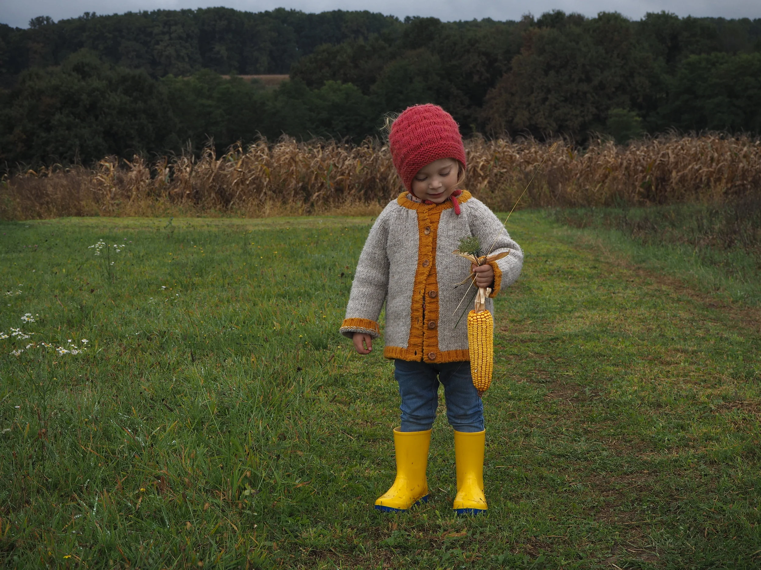 Corn fields, Slavonija
