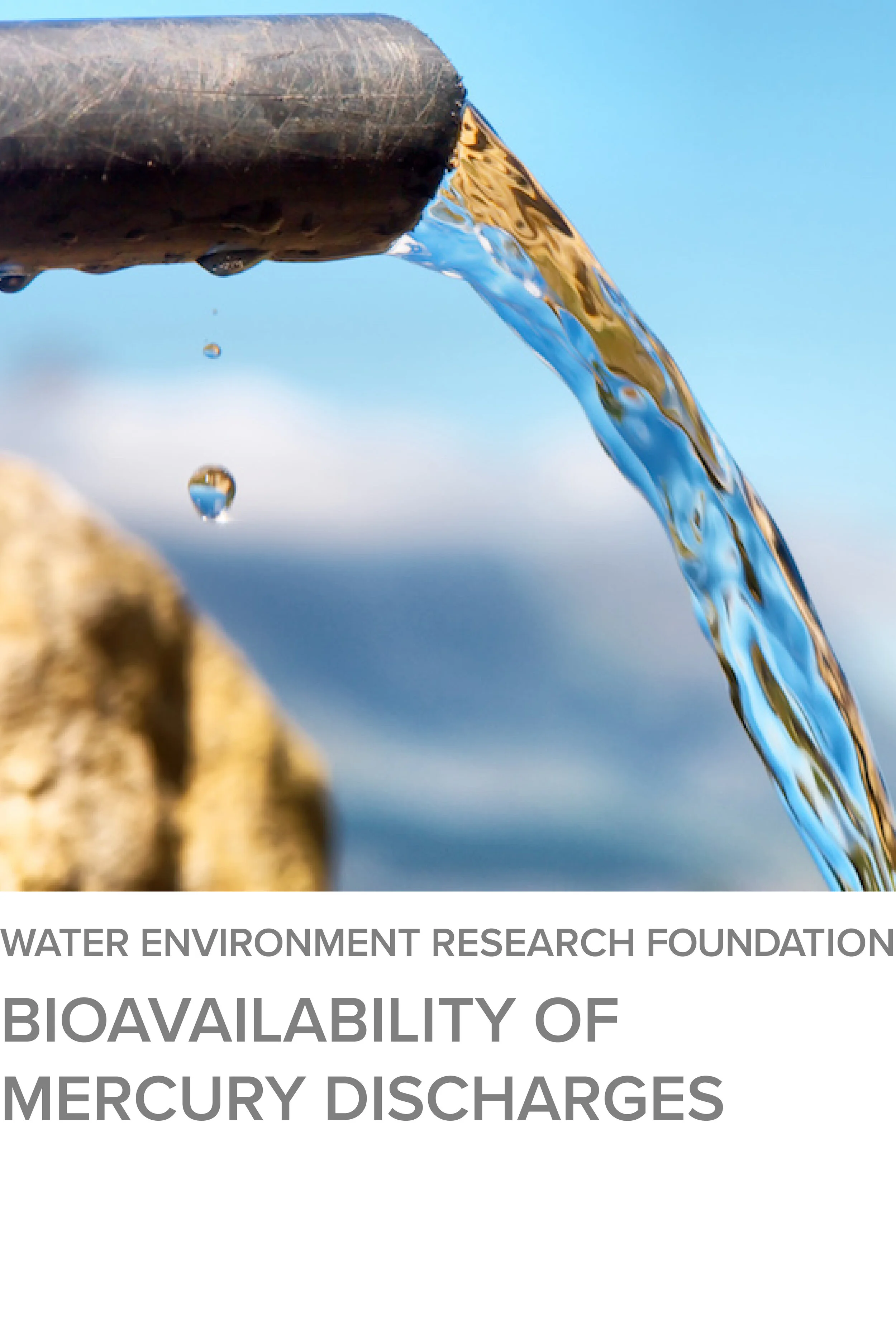 Bioavailability of Mercury Discharges for the Water Environment Research Foundation (WERF)
