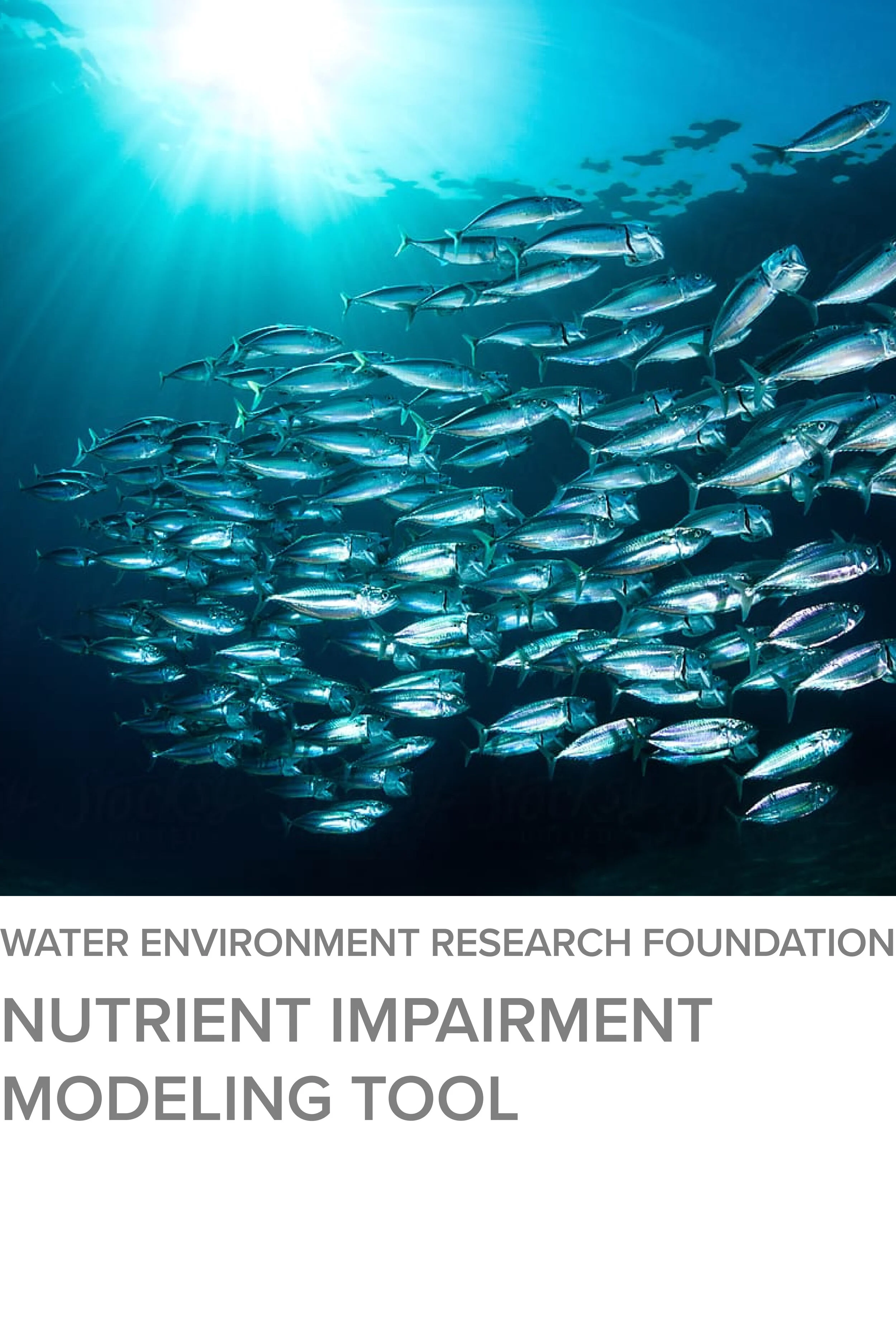 Nutrient Impairment Modeling Tool, Link1T11