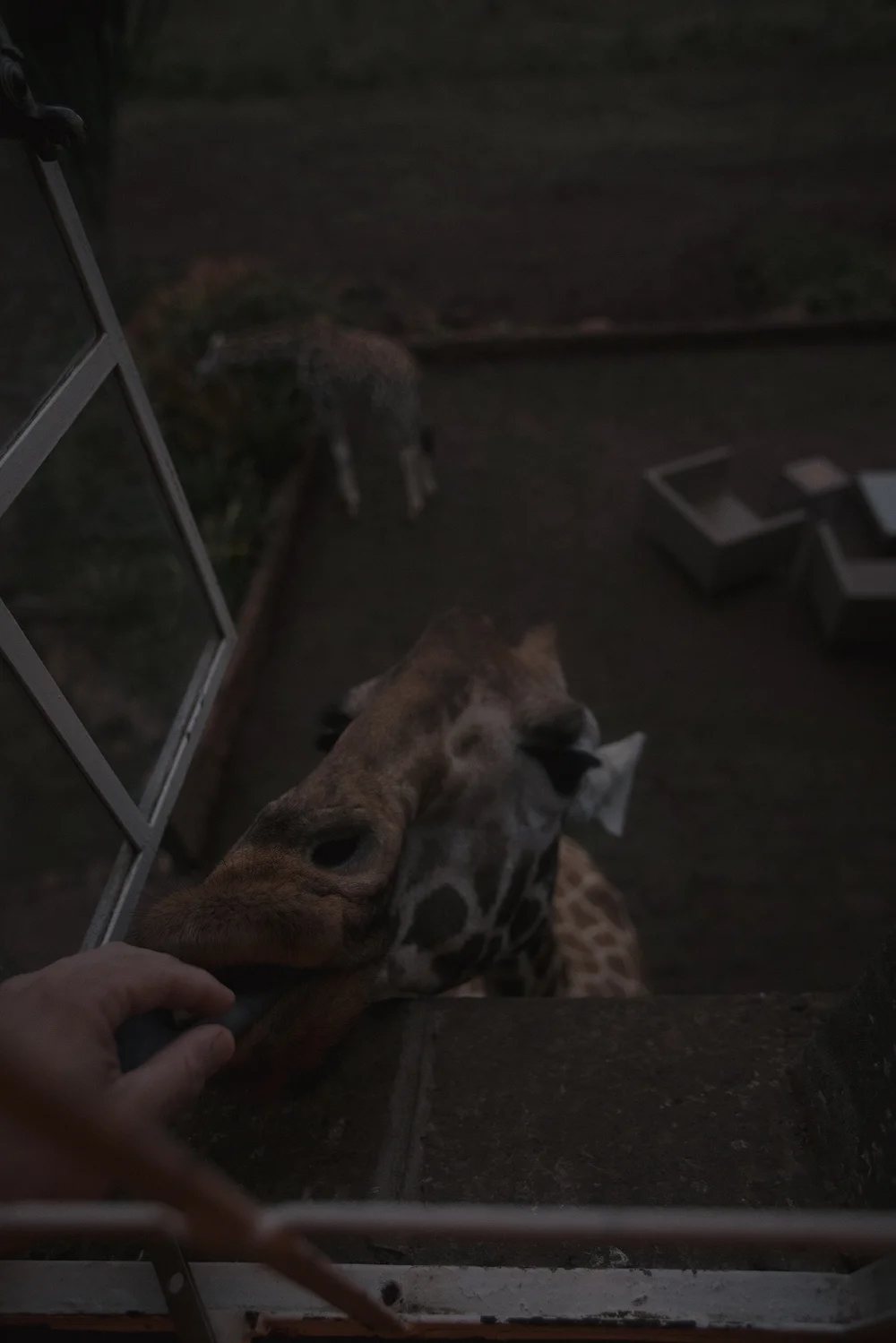 Jocks Room Feeding 630 AM