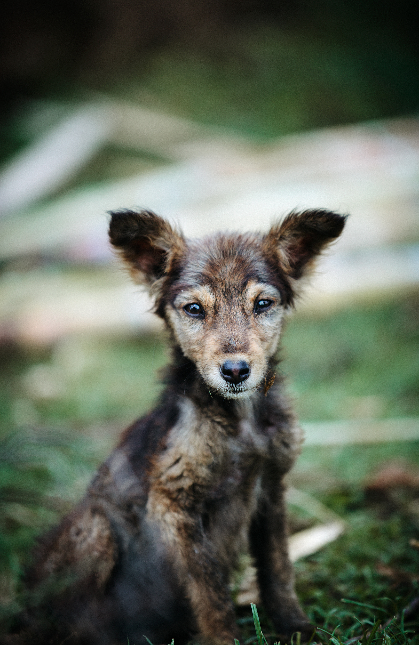 Cute and Cuddly - A way to Make a difference!
