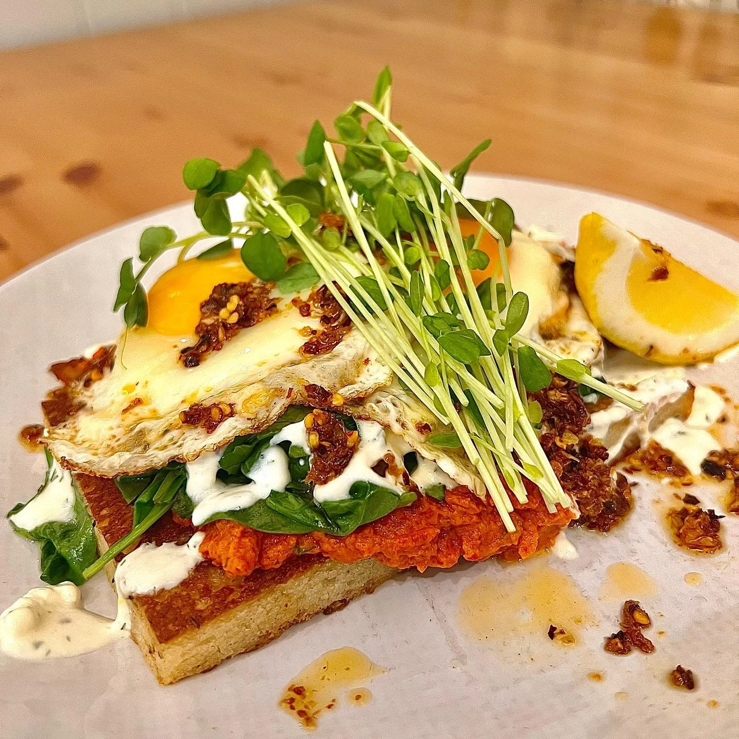 ✨New Menu✨Turkish Eggs GFO
2 fried eggs, focaccia, dill yoghurt, 
tomato + capsicum pesto, wilted spinach 
crispy chilli garlic oil, lemon
.
.
.
#thejampantry #brisbaneeats #brisbanefoodie #brisbanecafe  #brisbanebrunch #greenslopes #newmenu #trukish