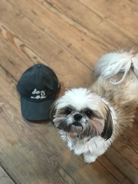 JILLYHAT.jpg