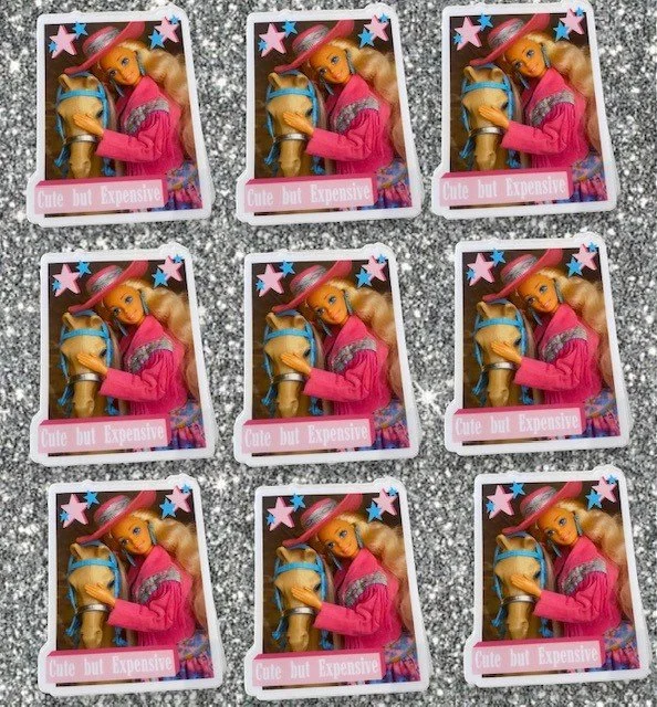 Cute but Expensive Barbie Sticker