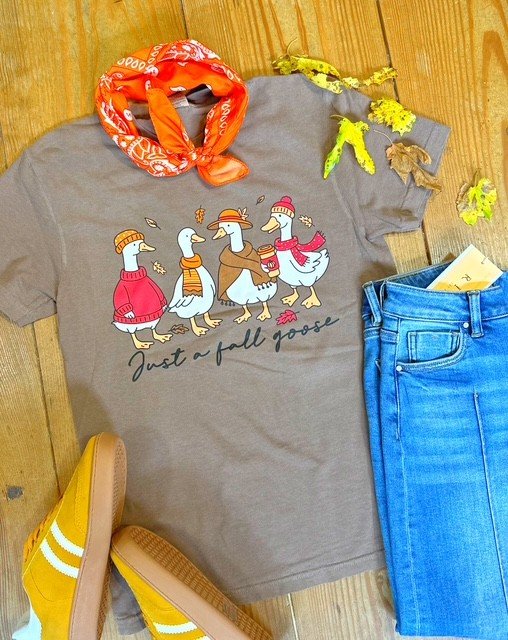 fallgoose2.jpg