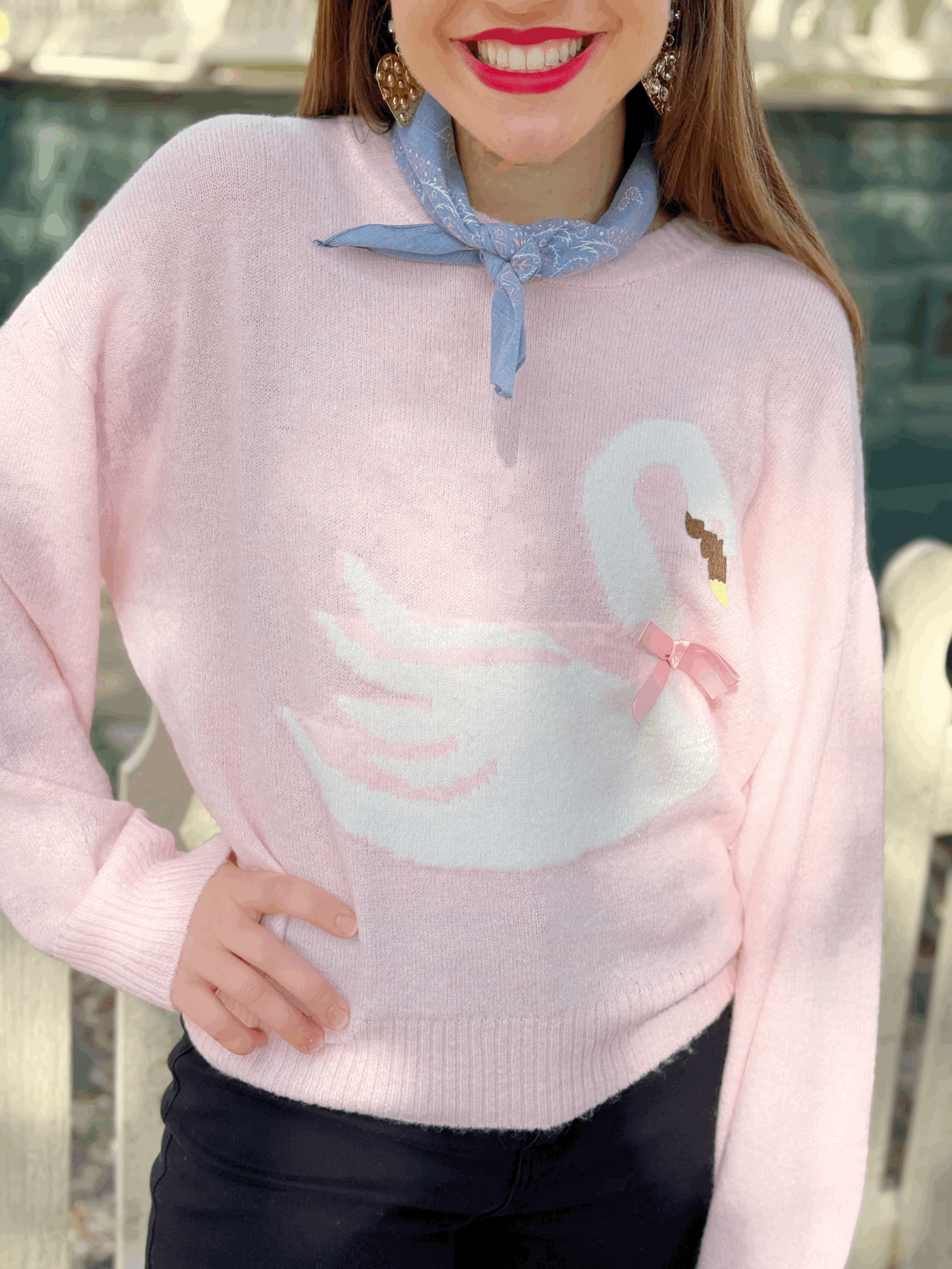 Swan Lake Sweater