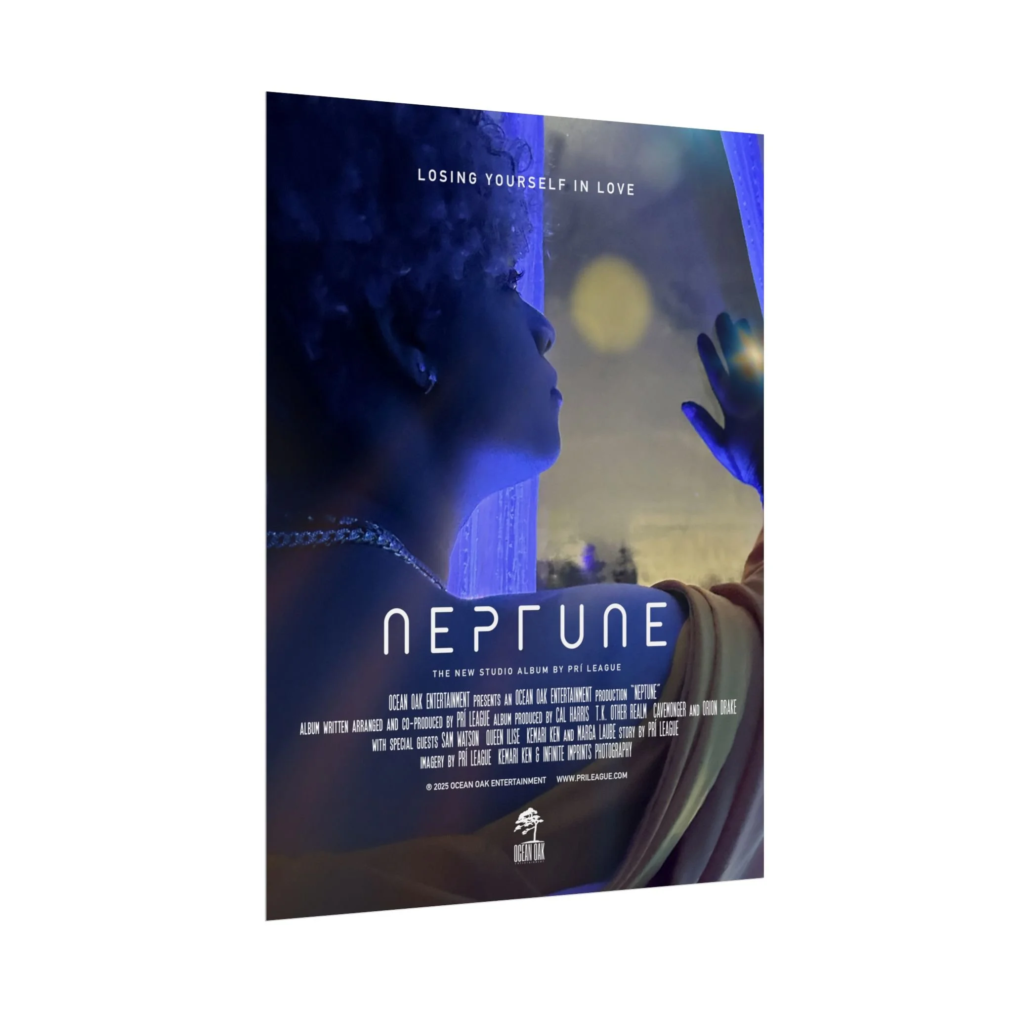 c3bb4cda9a95397d8631bcf8674c4e82