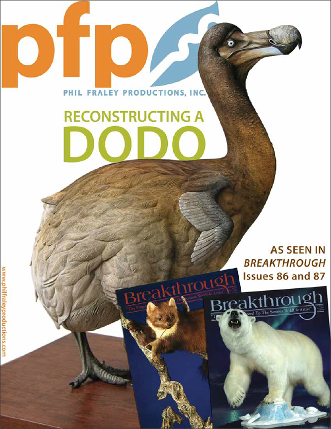 Reconstructing a Dodo