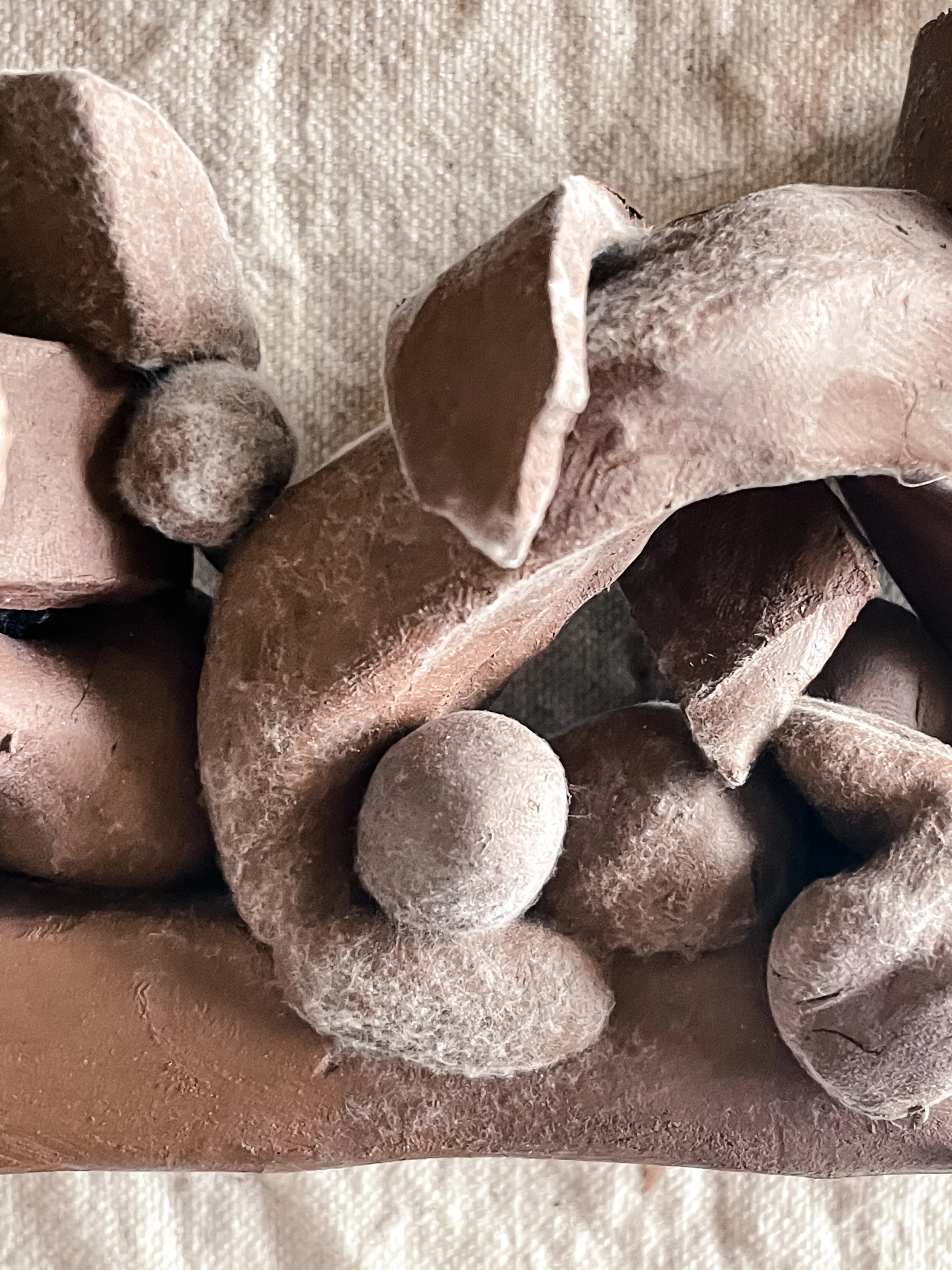 How Do I Handle Mold on my Raw Clay?