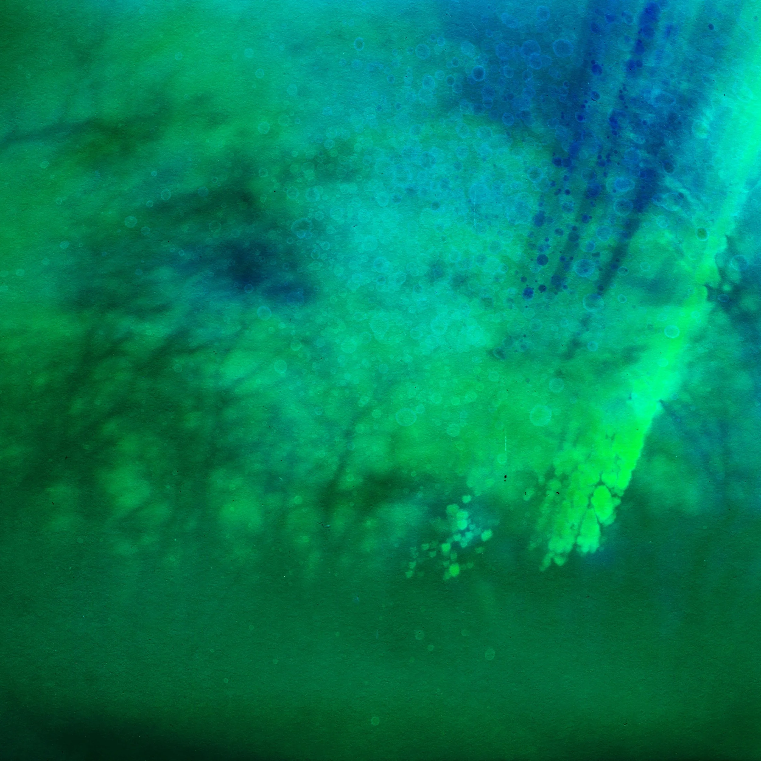 3-13-23 thru 3-14-24 Land Stumpongroundlookingup-min.jpg