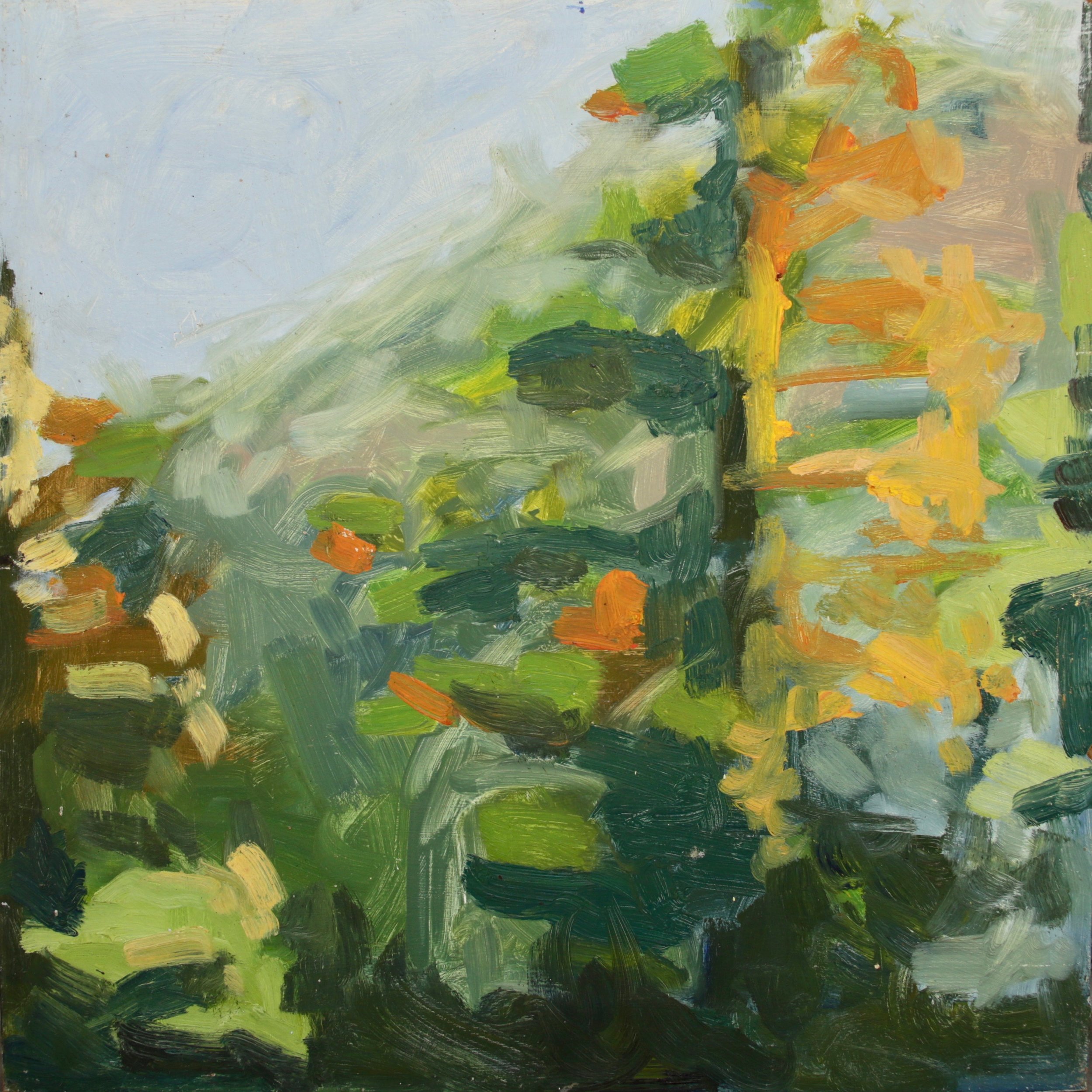 Santa Fe Forest