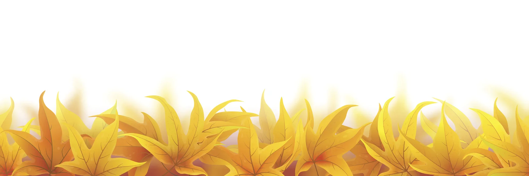 iStock-486350940.jpg