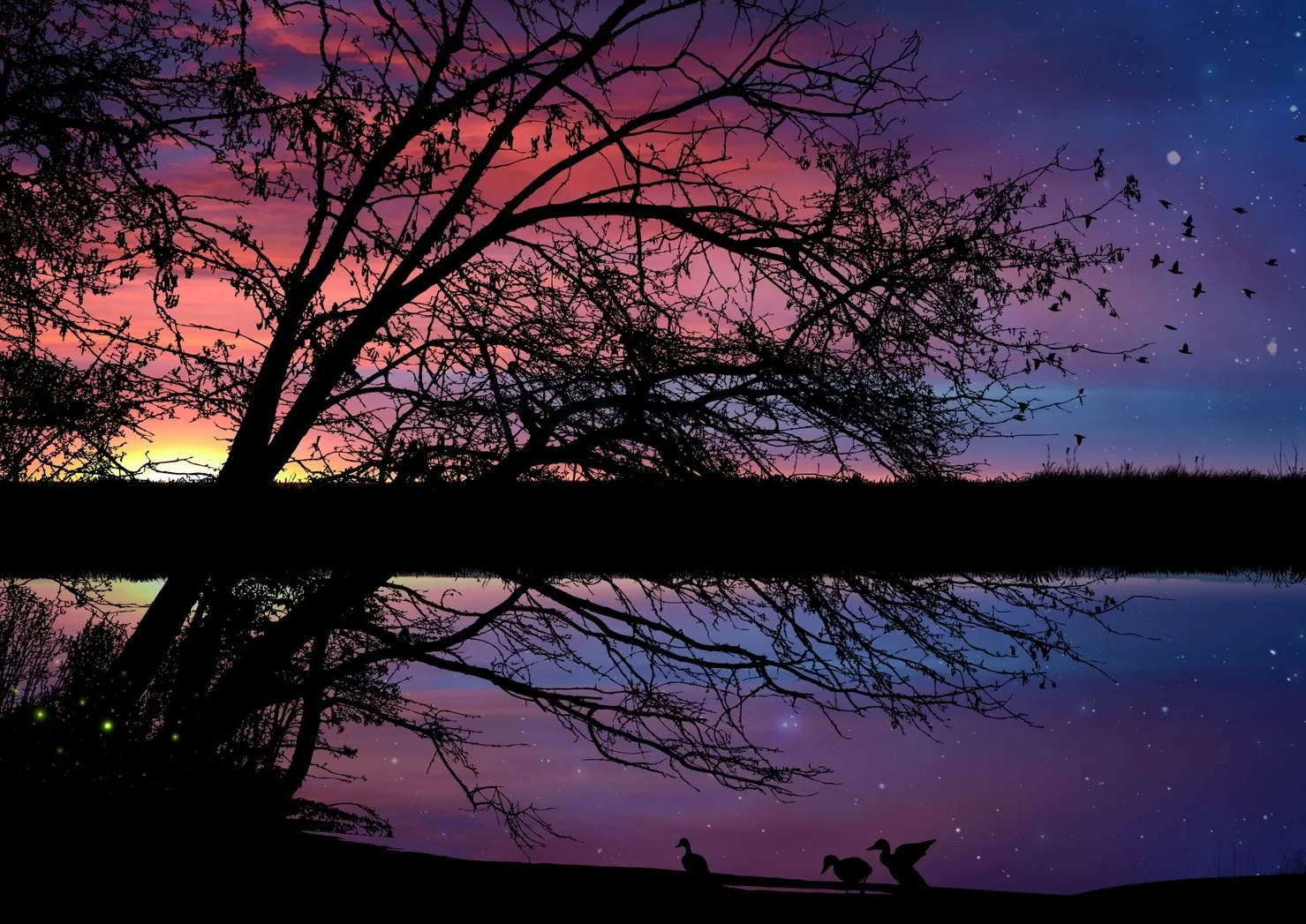 THE LINK BETWEEN GRATITUDE & PEACE *