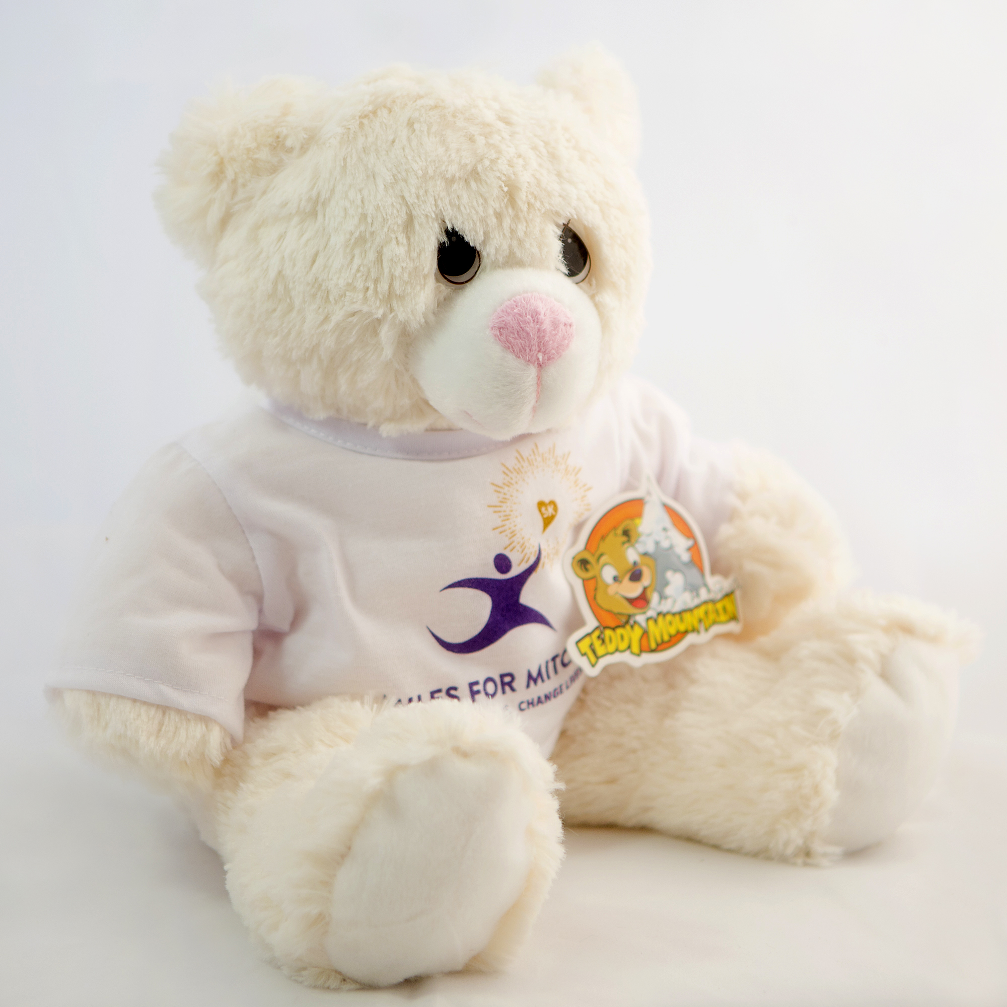 Miles for Mitchell Teddy Bear (Girl)