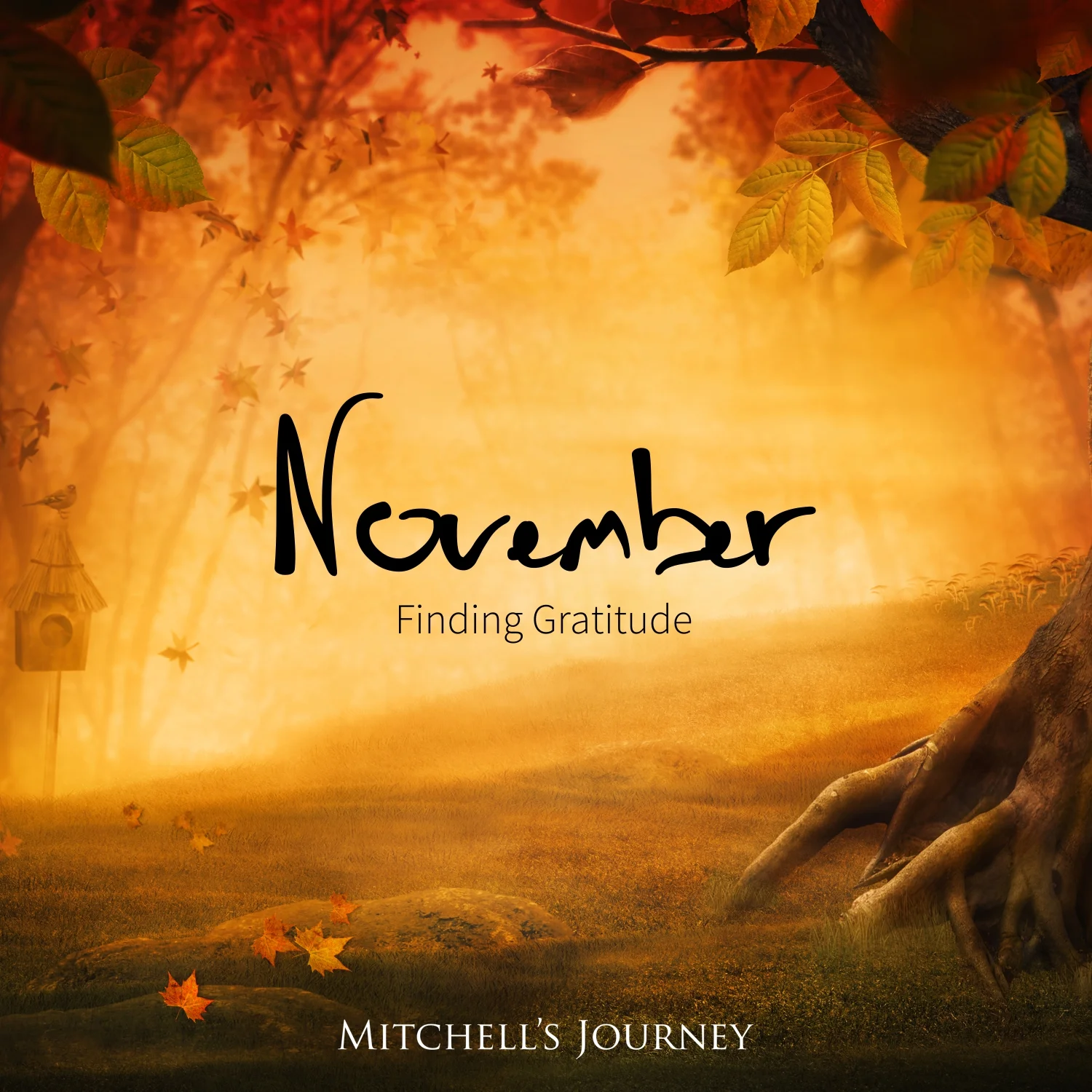 November Content: A Focus on Finding Gratitude