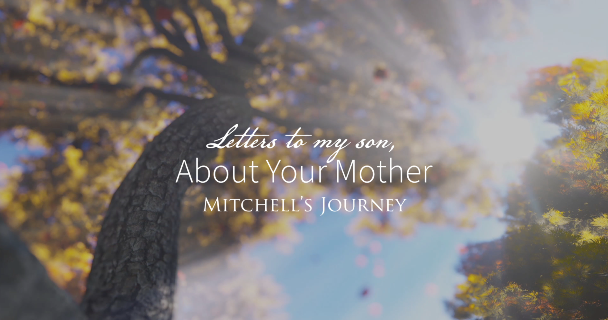 LETTERS TO MY SON: ABOUT YOUR MOTHER
