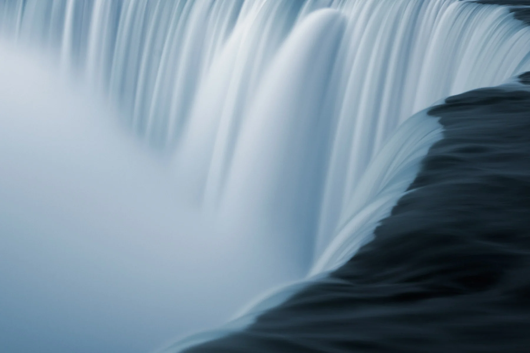 _DSC4558.jpg