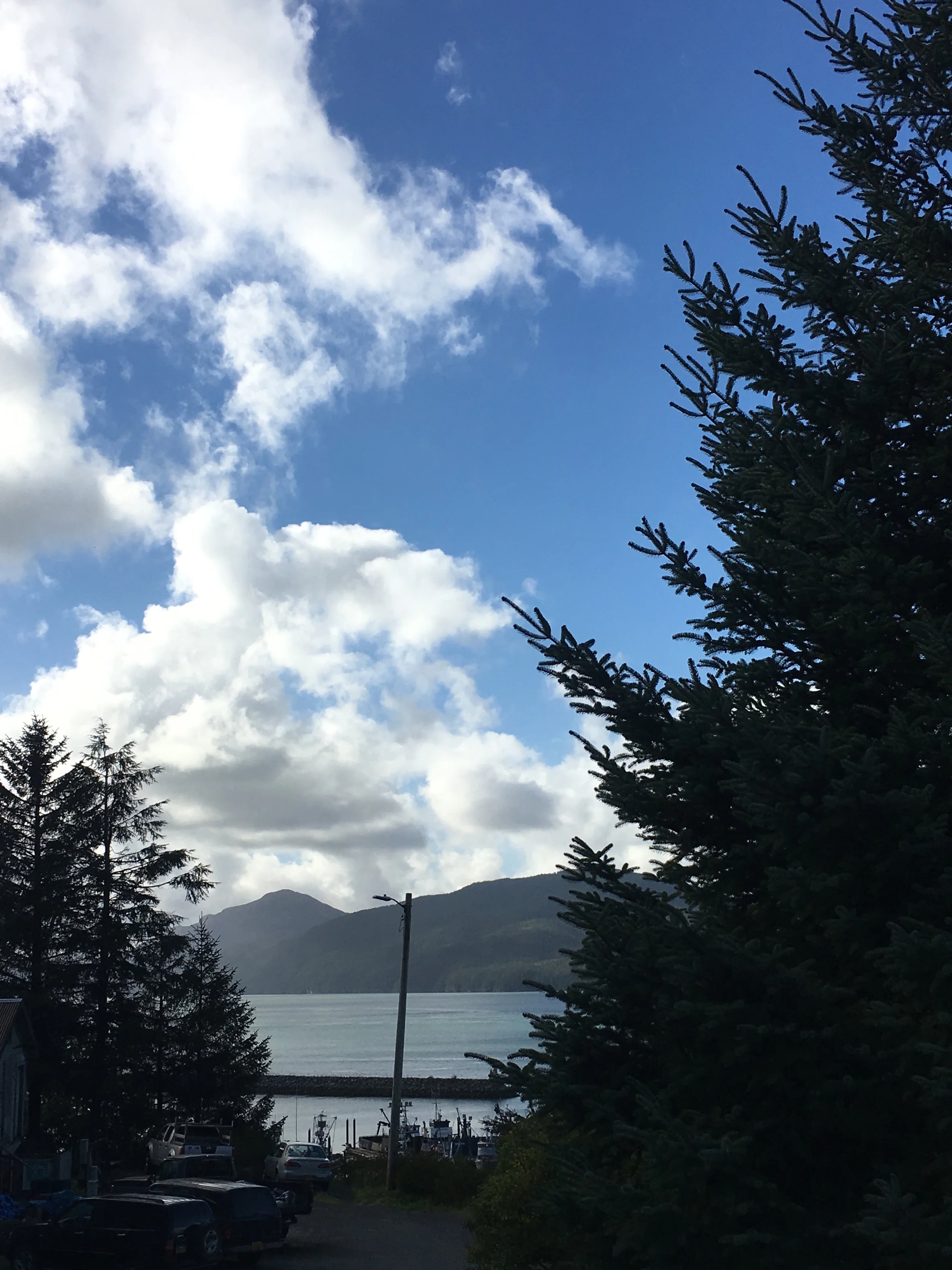 Orca Inlet Views