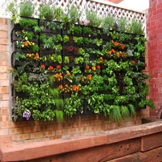 garden_design_v2.jpg