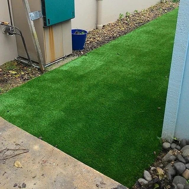 For the love of dogs