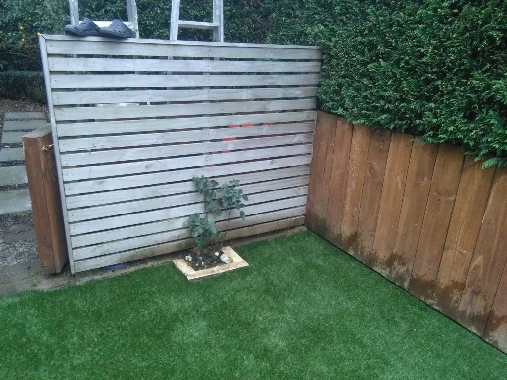 Never Mow 1.jpg