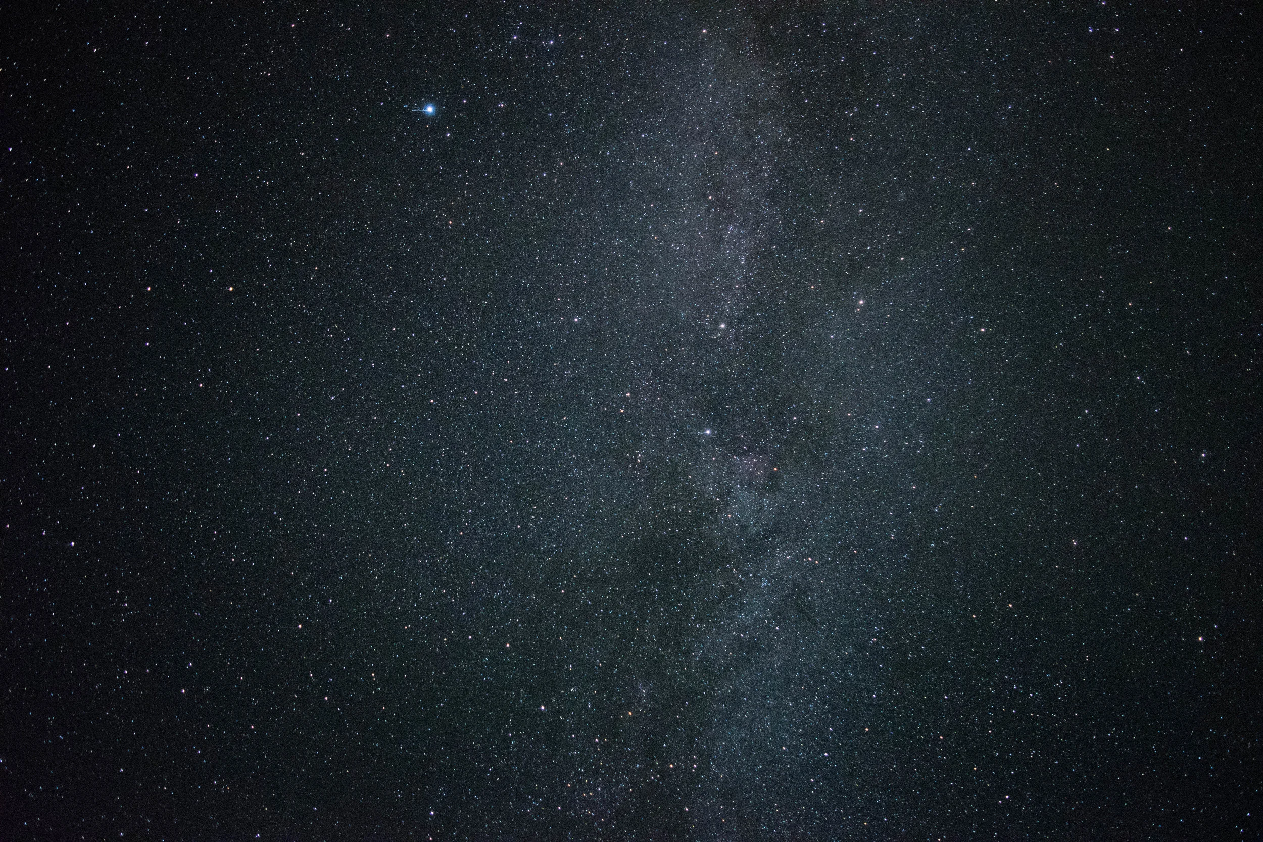 Edited in Lightroom to see it better.jpg