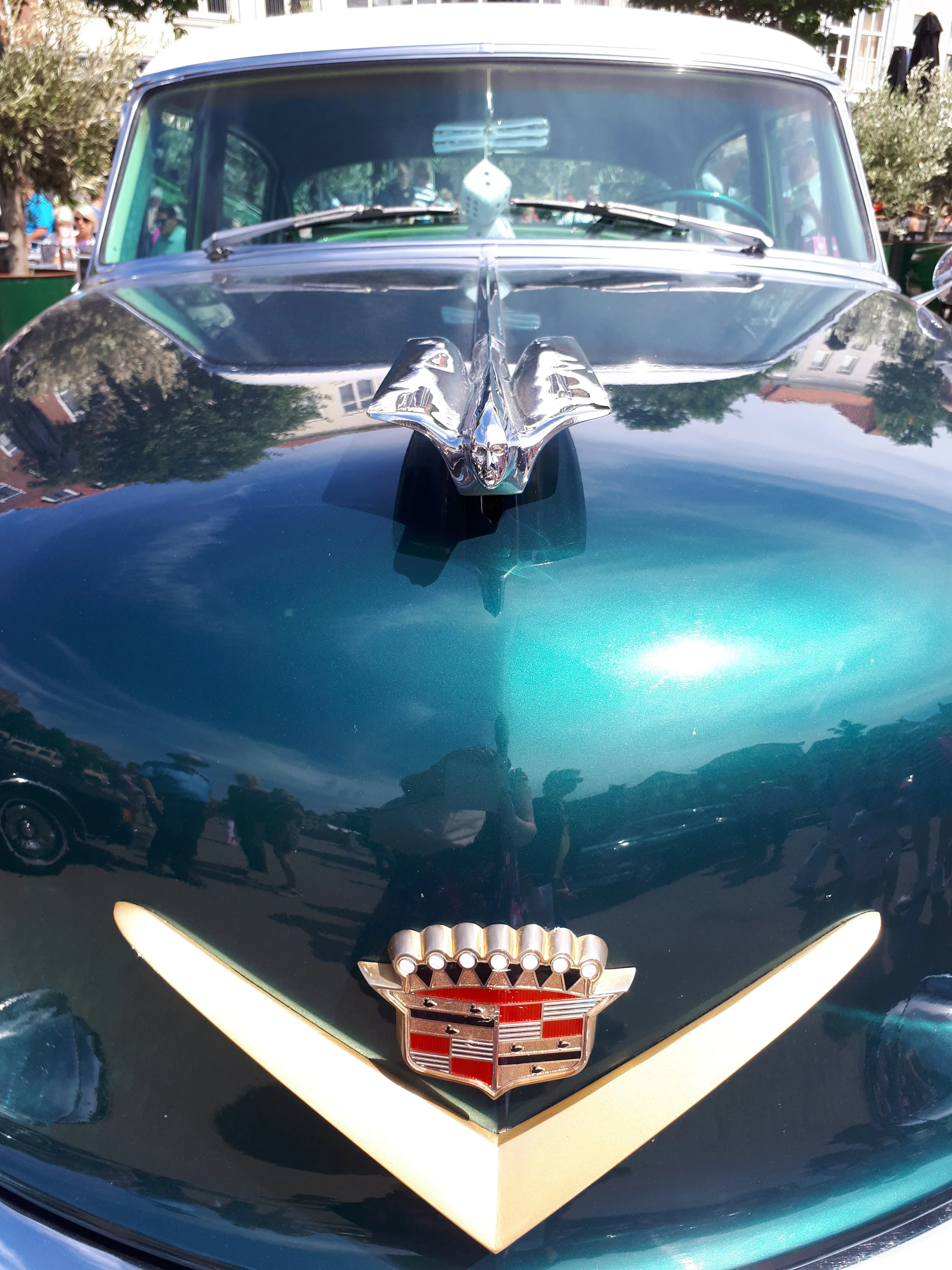 20180623_153242.jpg