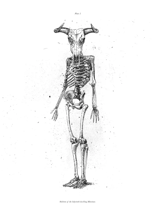 The Labyrinth Dwelling Minotaur