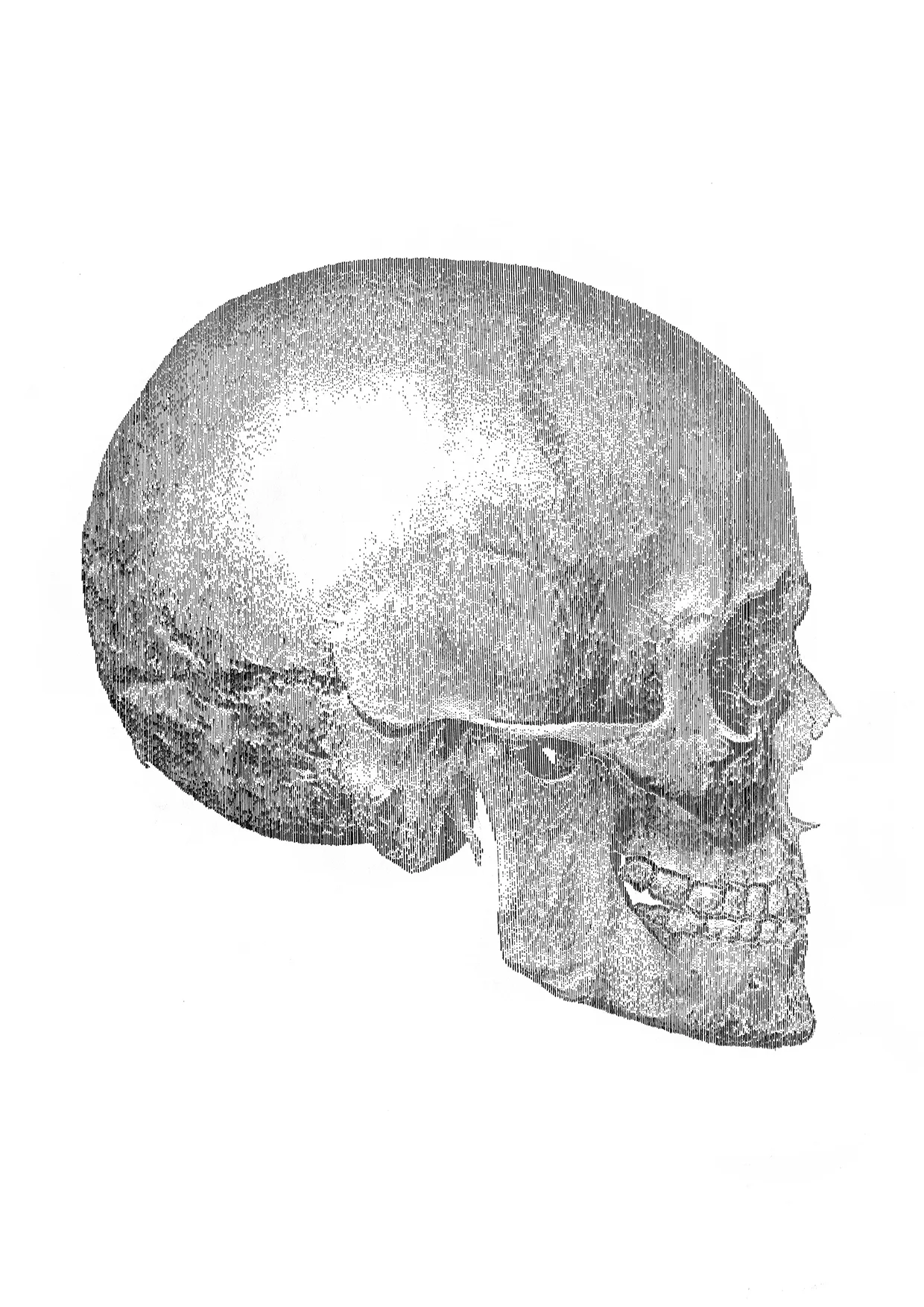 Profile of Us