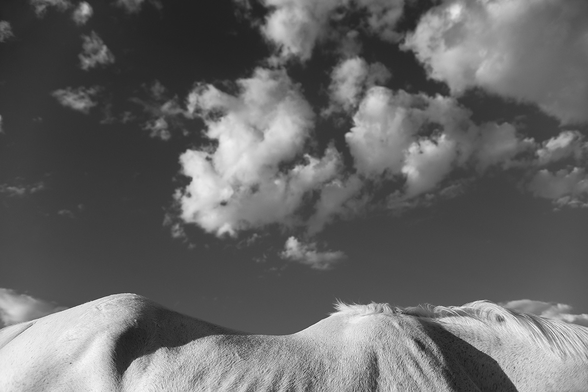 Topography #1