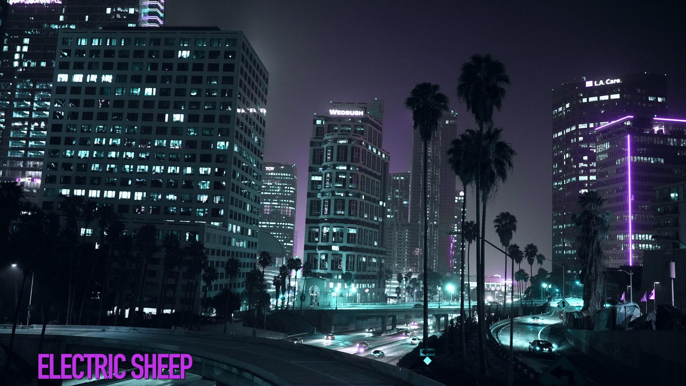 ELECTRIC SHEEP SMALL.jpeg