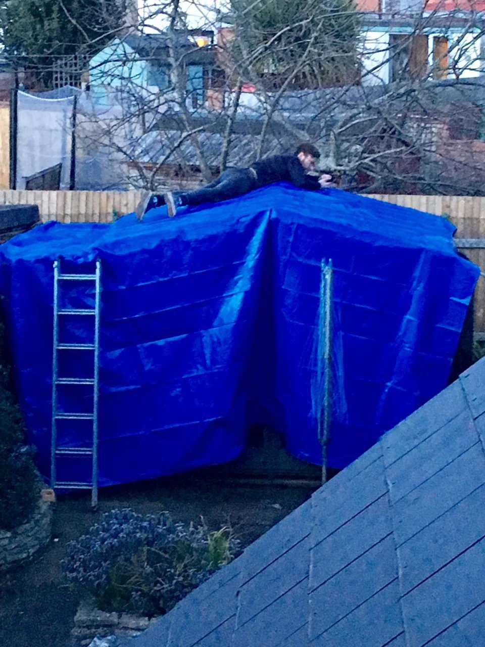 Shedgate