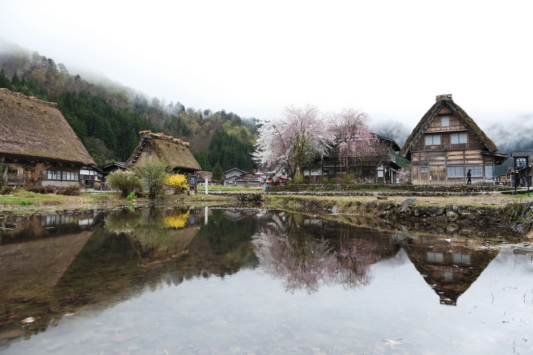DSCF035652.jpg