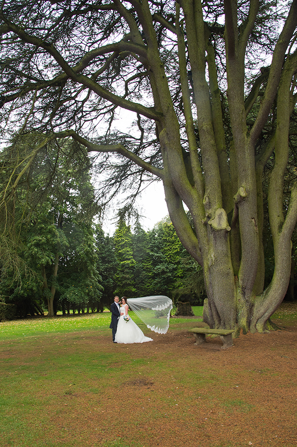 Bride and Groom rear garden Anstey Hall Hotel Coventry Warwickshire