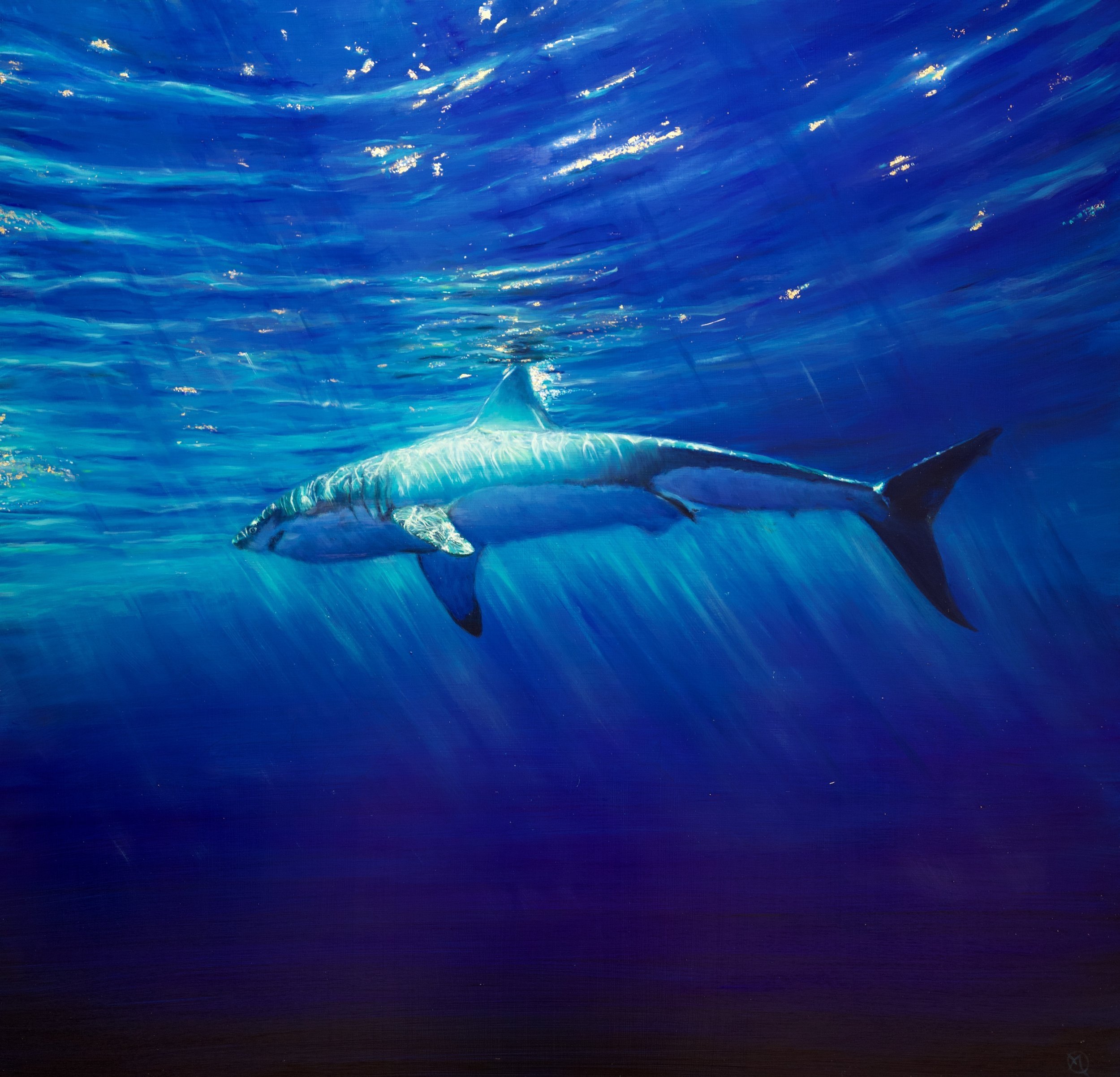 Marine Wildlife Oil painting gallery