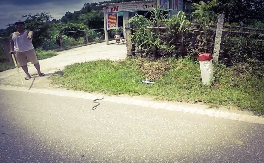 The first snake spotted