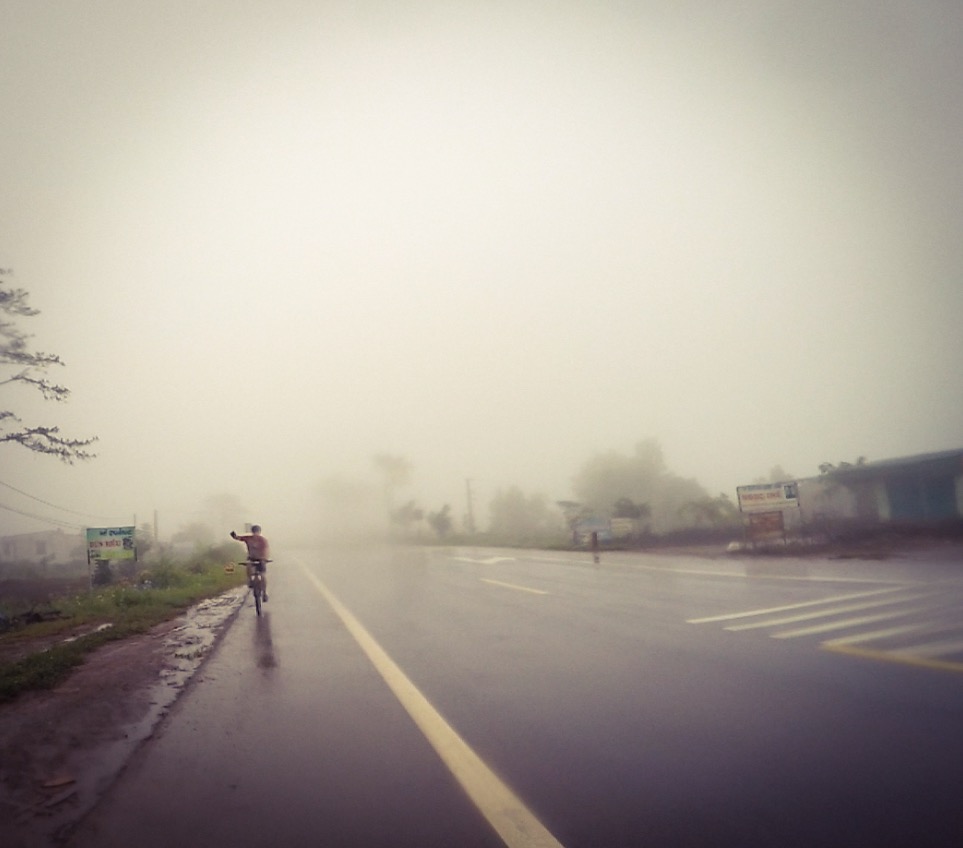 Gorilla in the mist..