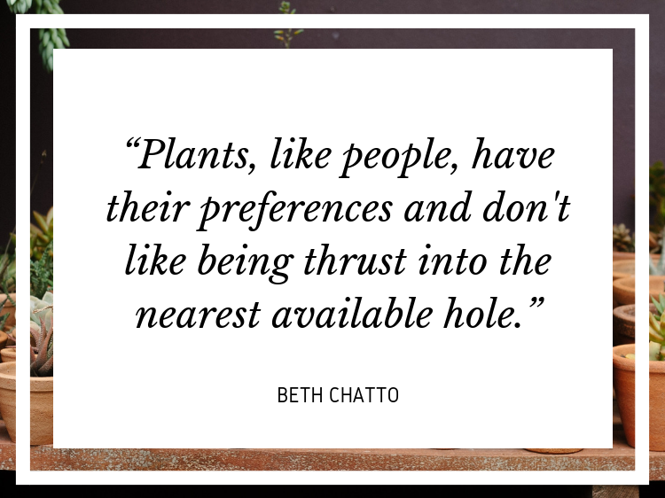 Quote: “Plants, like people, have their preferences and don't like being thrust into the nearest available hole.” - Beth Chatto
