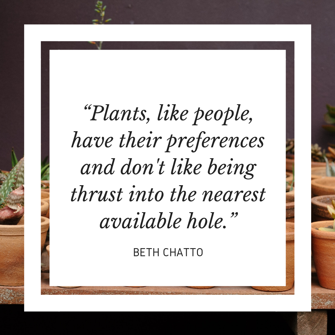Unconventional Mentor no. 18 - Beth Chatto