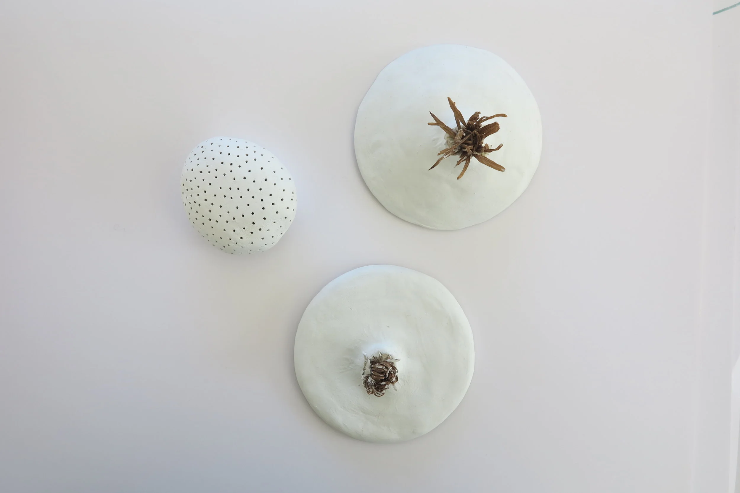 IMG_6469 - copie.JPG